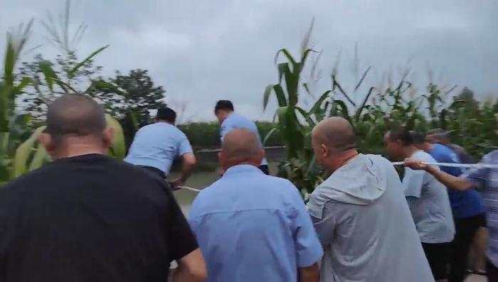 w700d1q75cms (1)2.jpg